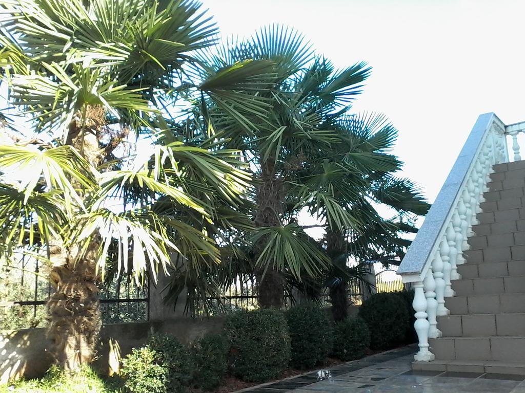 House Apartments Ariamare ポレッチ エクステリア 写真